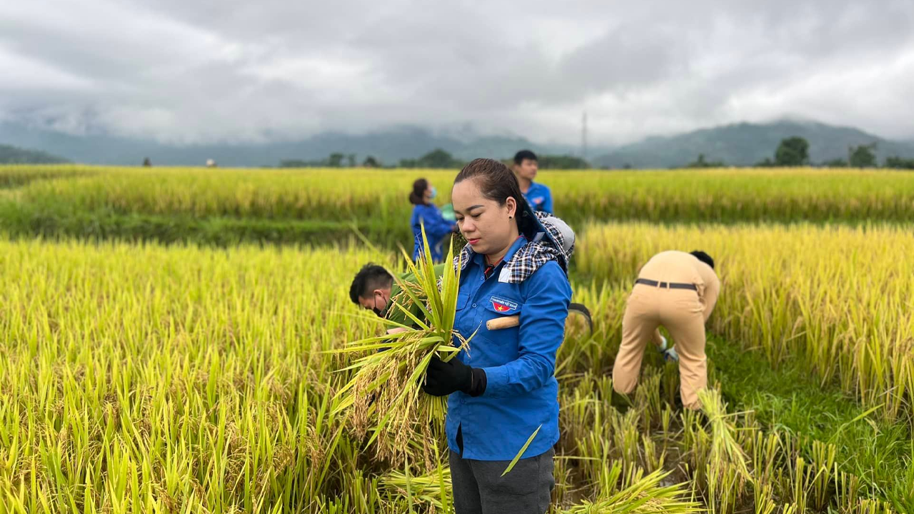 AGRICULTURAL WEATHER FORECAST